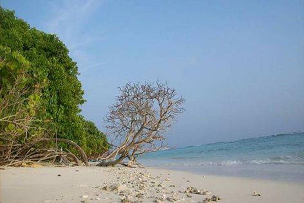Madi Finolhu Guest House Дхаравандху Екстериор снимка