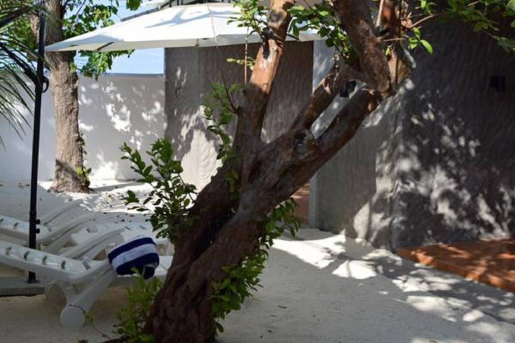 Madi Finolhu Guest House Дхаравандху Екстериор снимка